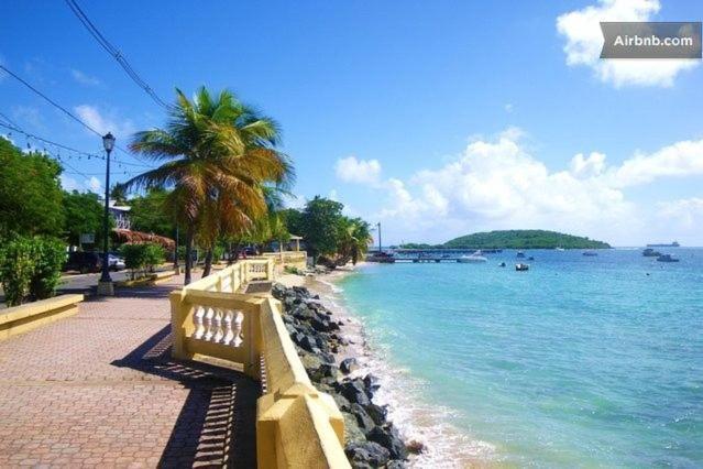 Fundraising -Help Us Build Recreation -Drive In Cinema -Stay In-Vieques For Less For 40 N Spend More Having Fun Bnbcampsite -Comfort Camping Queen Beds Tent Rental -Private Bath -5 Minutes Walk To Bioluminescent Bay N Restaurants -Cash Preferred 外观 照片